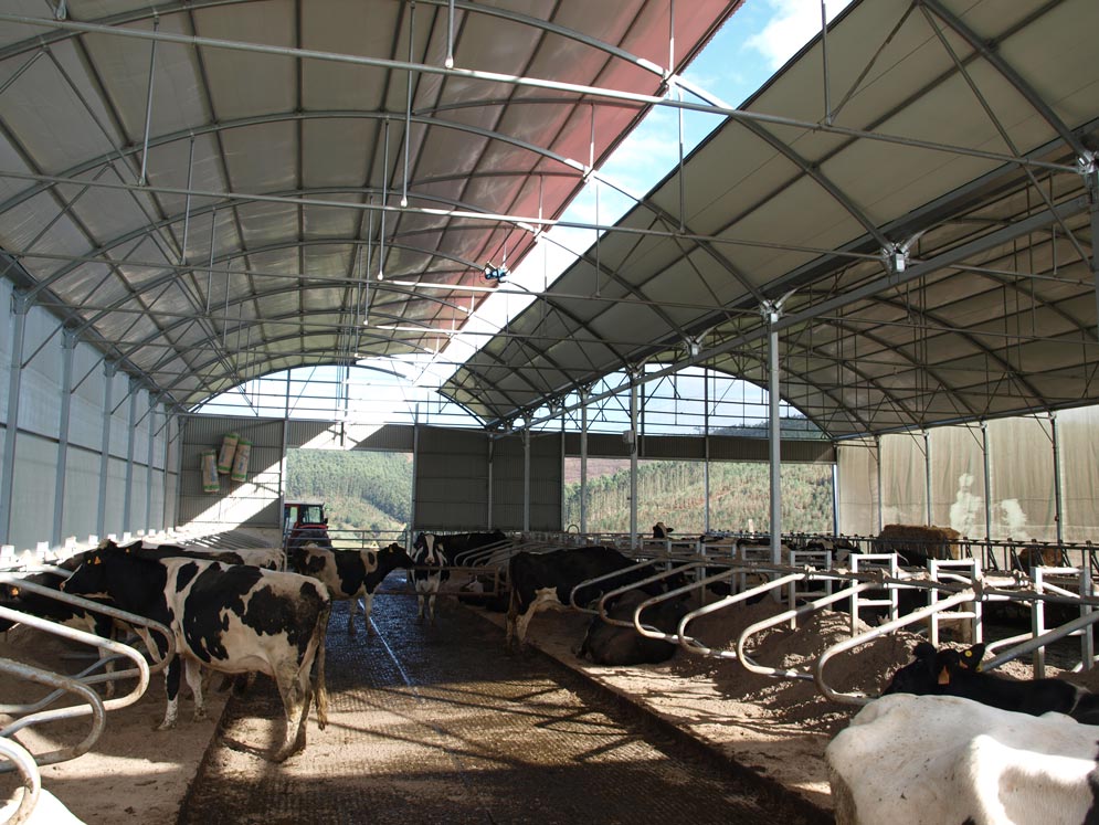 Prohigan | Soluciones en automoción, higiene ganadera e industrial, vacuno lechero, patata de Bergantiños, naves y cobertizos, y tratamiento de purines. ¡Contáctanos!
