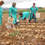 Prohigan | Soluciones en automoción, higiene ganadera e industrial, vacuno lechero, patata de Bergantiños, naves y cobertizos, y tratamiento de purines. ¡Contáctanos!