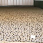 Prohigan | Soluciones en automoción, higiene ganadera e industrial, vacuno lechero, patata de Bergantiños, naves y cobertizos, y tratamiento de purines. ¡Contáctanos!